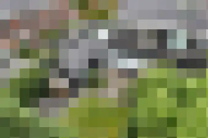 Laantje van Hynckes 22 Blaricum thumbnail 29