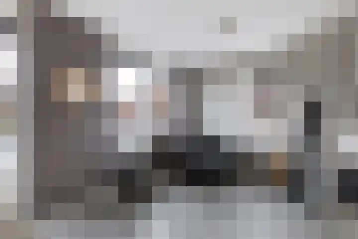 Laantje van Hynckes 22 Blaricum thumbnail 37