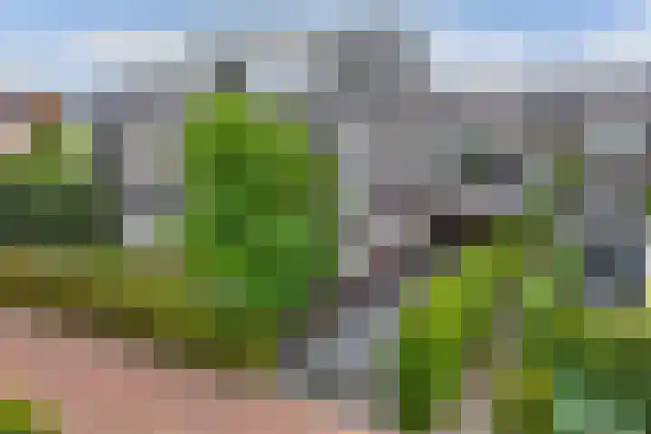 Laantje van Hynckes 22 Blaricum thumbnail 7