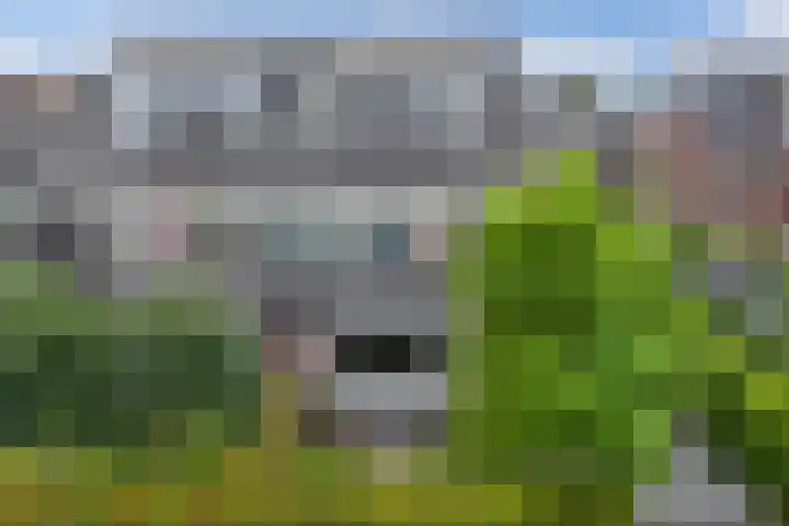 Laantje van Hynckes 22 Blaricum thumbnail 8