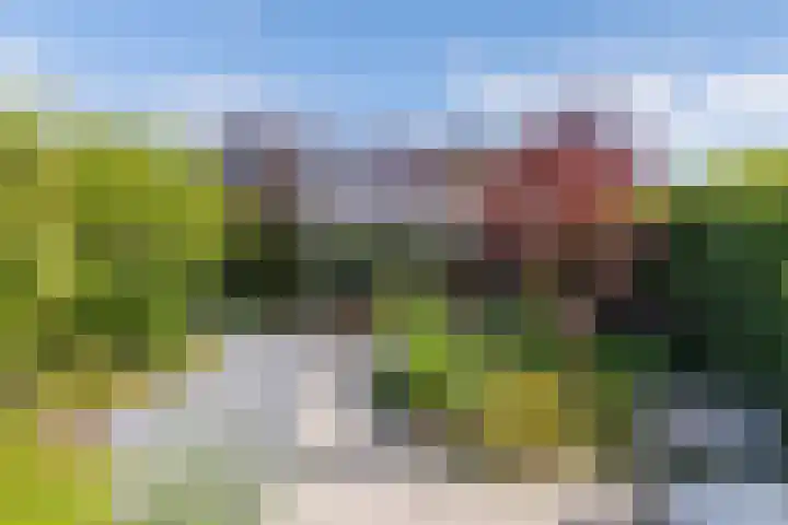 Laantje van Hynckes 35 Blaricum thumbnail 14