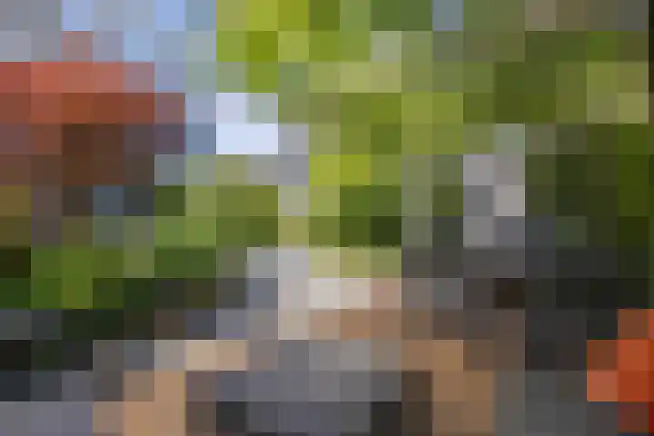 Laantje van Hynckes 35 Blaricum thumbnail 15