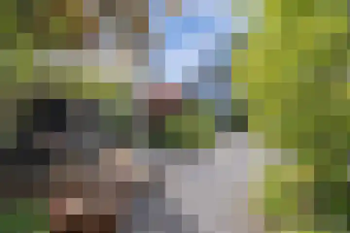 Laantje van Hynckes 35 Blaricum thumbnail 16