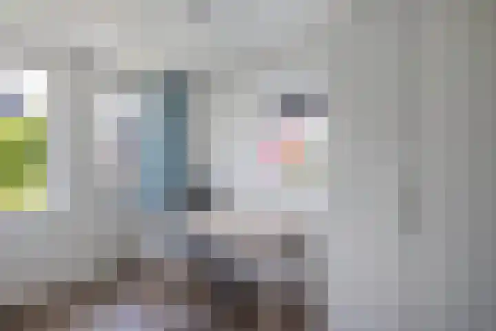 Laantje van Hynckes 35 Blaricum thumbnail 24