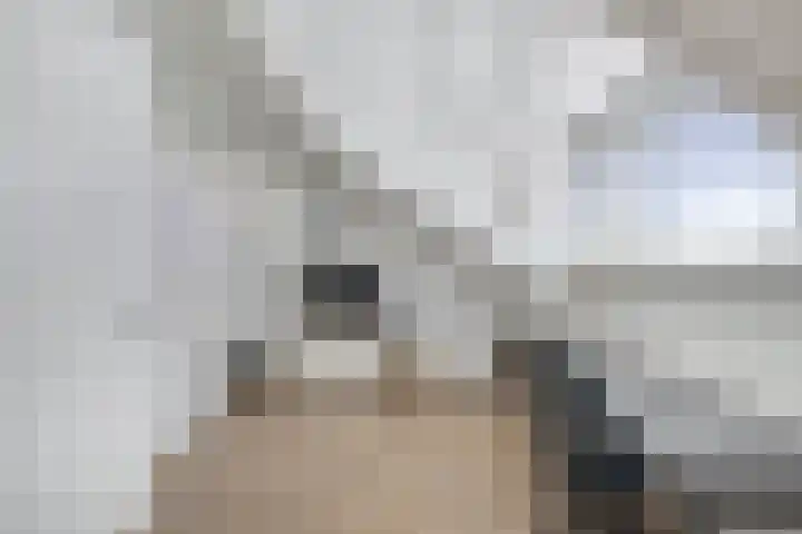 Laantje van Hynckes 35 Blaricum thumbnail 31