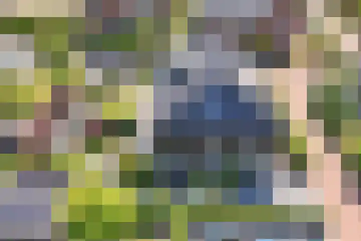 Laantje van Hynckes 35 Blaricum thumbnail 36