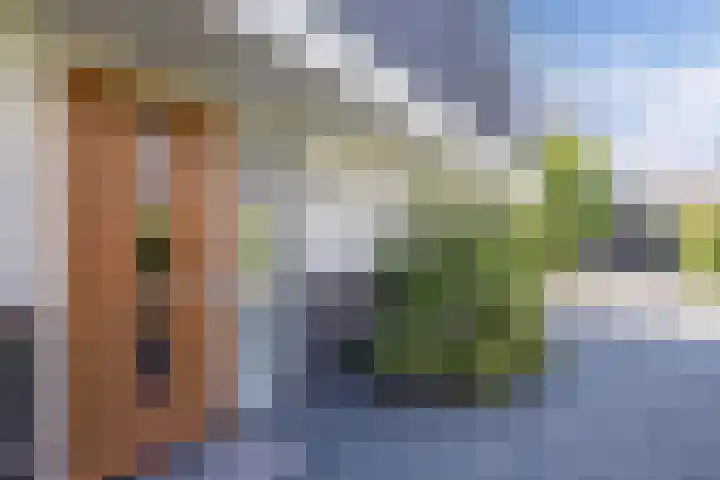 Laantje van Hynckes 35 Blaricum thumbnail 4