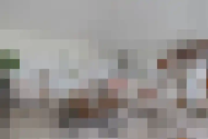 Laantje van Israëls 15 Blaricum thumbnail 12