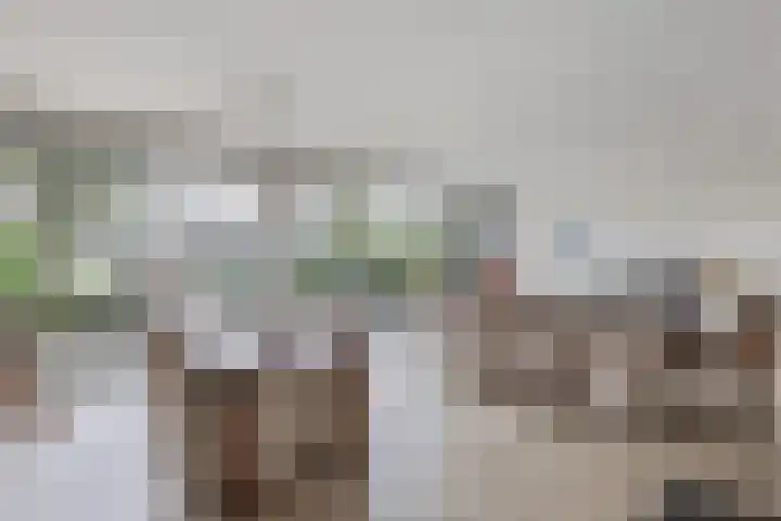 Laantje van Israëls 15 Blaricum thumbnail 13