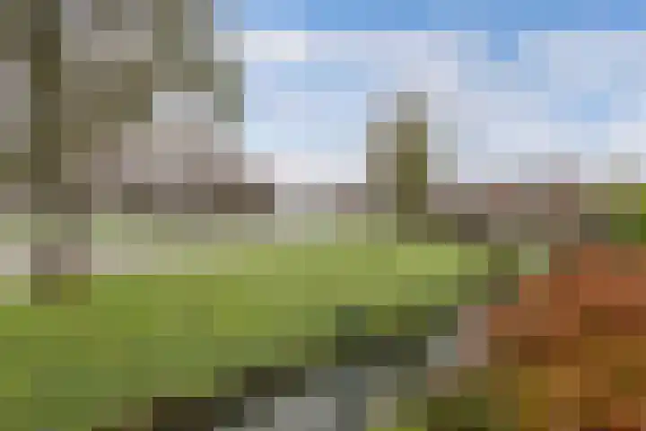Laantje van Israëls 15 Blaricum thumbnail 24