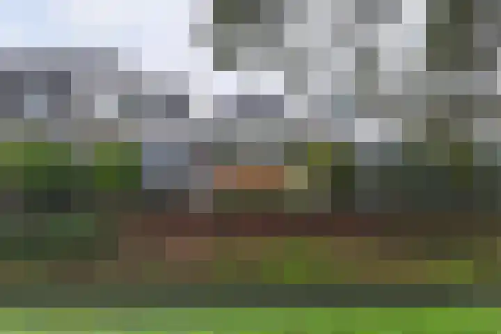 Laantje van Israëls 15 Blaricum thumbnail 25