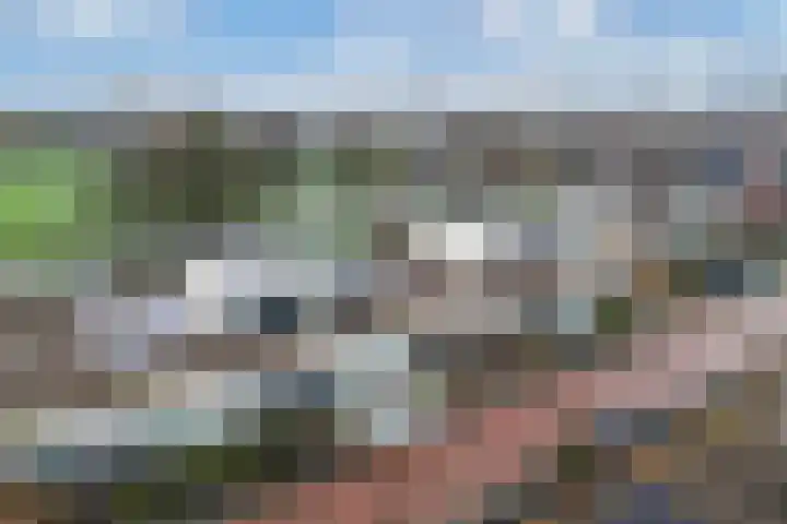 Laantje van Israëls 15 Blaricum thumbnail 29