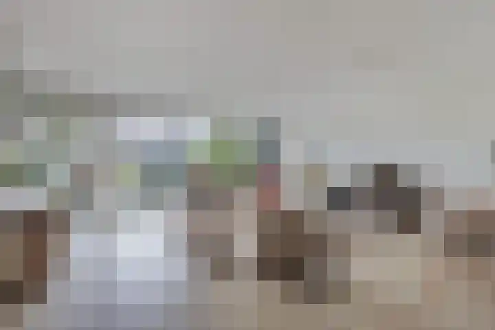 Laantje van Israëls 15 Blaricum thumbnail 9