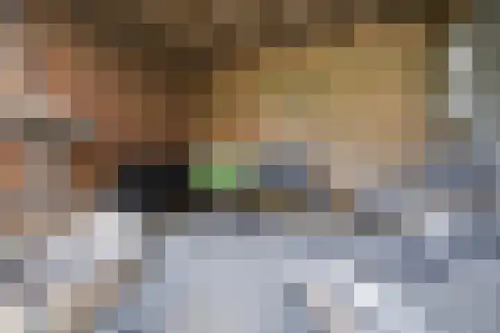 Laantje van Israëls 8 Blaricum thumbnail 17