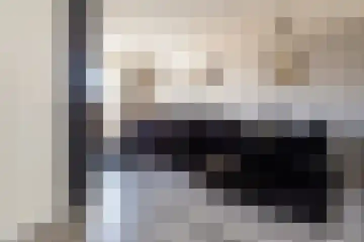 Laantje van Kempen 11 Den Haag thumbnail 10