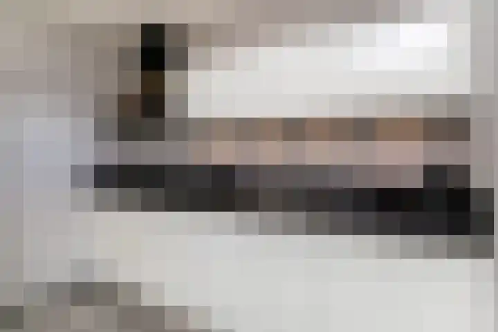 Laantje van Kempen 11 Den Haag thumbnail 11