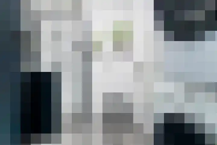 Laantje van Kempen 11 Den Haag thumbnail 20