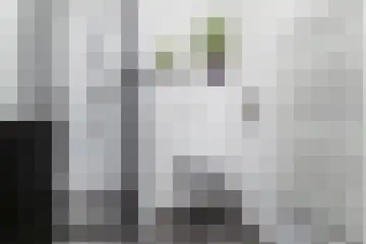 Laantje van Kempen 11 Den Haag thumbnail 4
