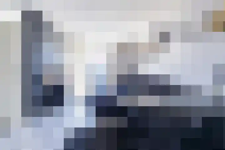 Laantje van Kempen 11 Den Haag thumbnail 6