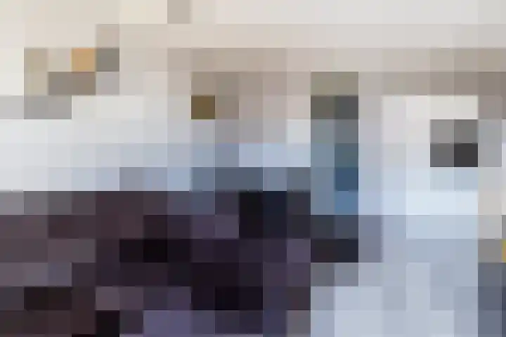Laantje van Kempen 11 Den Haag thumbnail 7