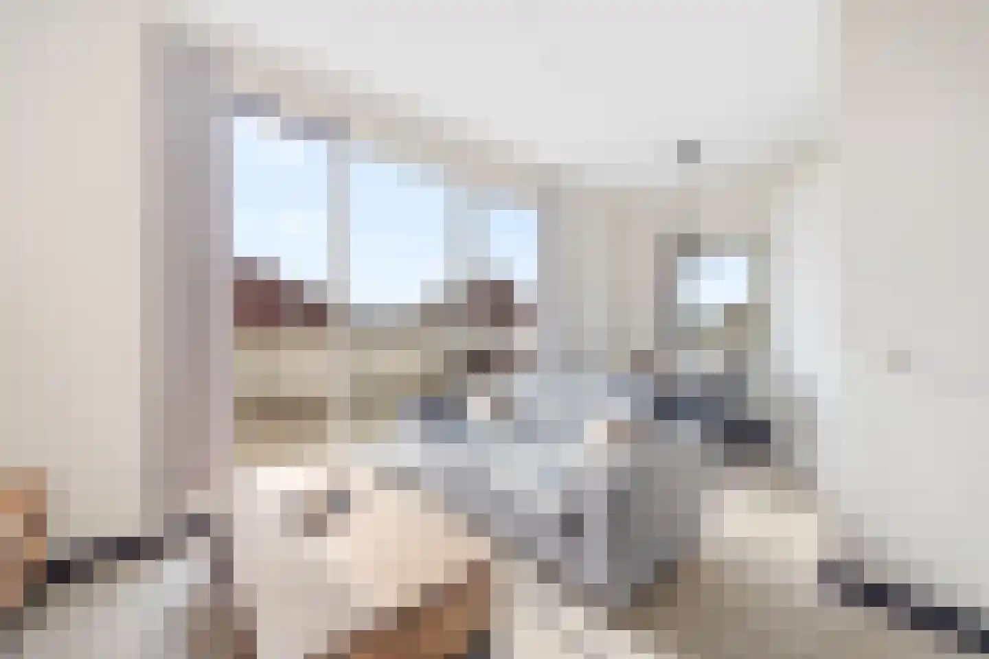 Laantje van Kempen 13 Den Haag thumbnail 11