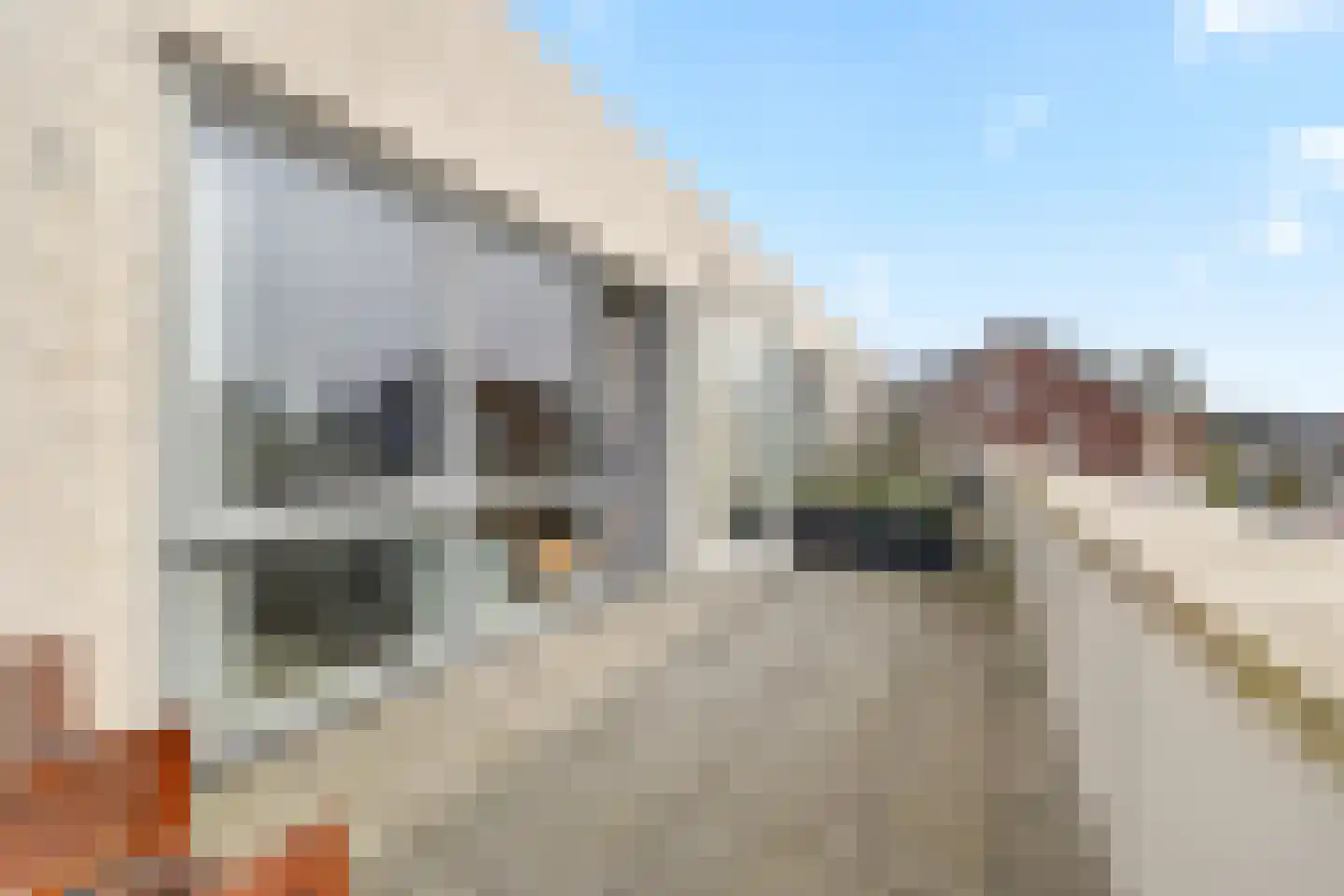 Laantje van Kempen 13 Den Haag thumbnail 15