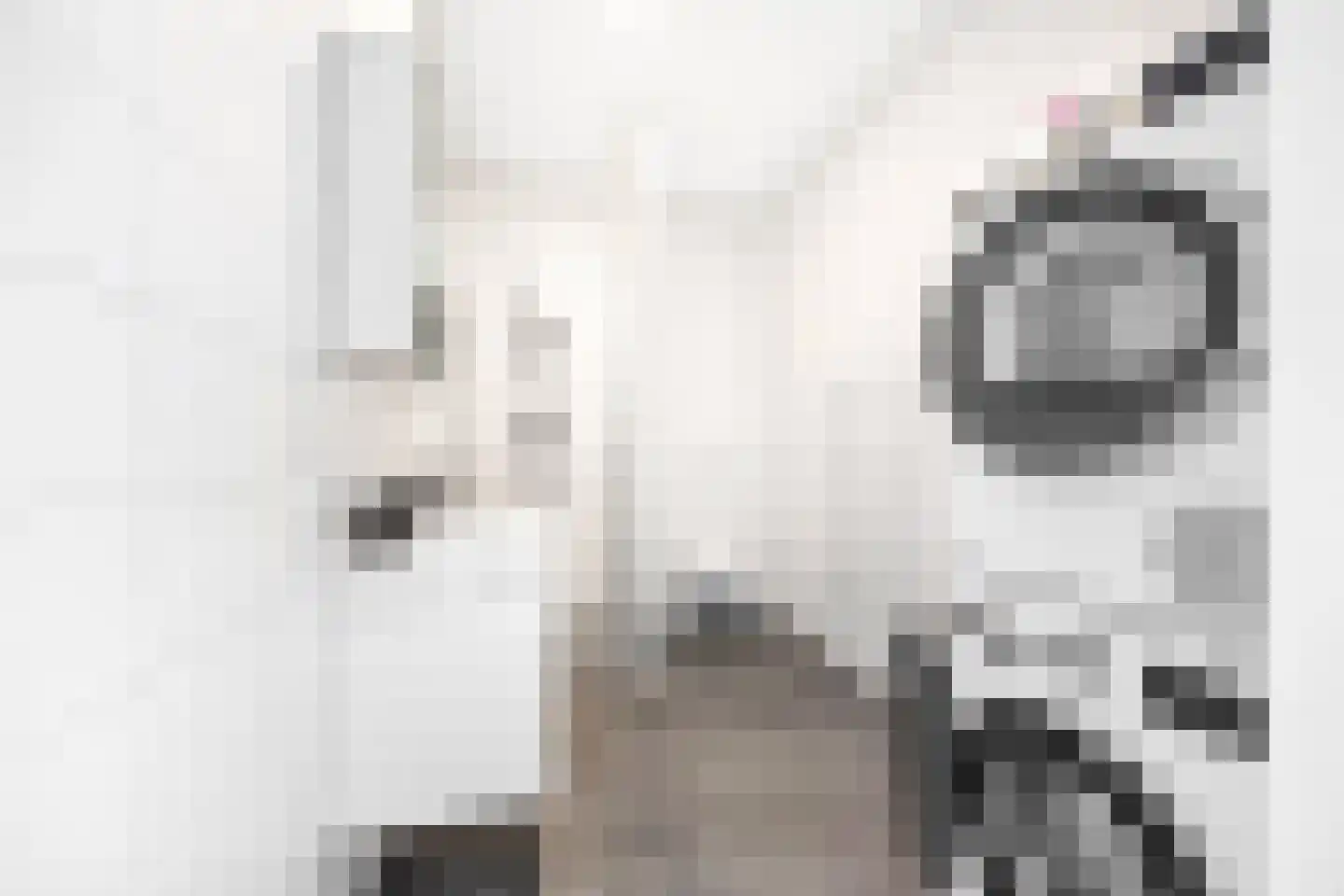 Laantje van Kempen 13 Den Haag thumbnail 20