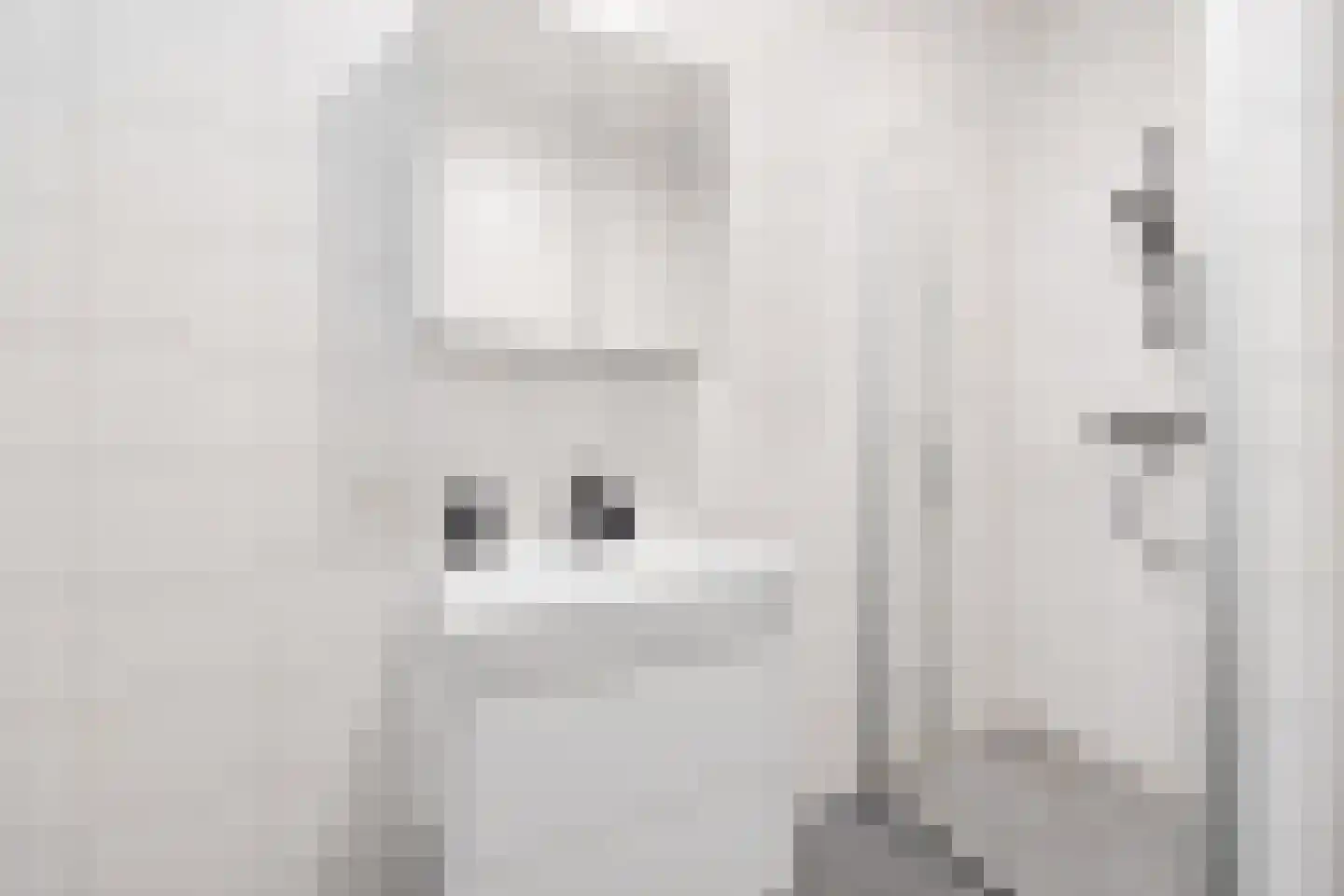 Laantje van Kempen 13 Den Haag thumbnail 21