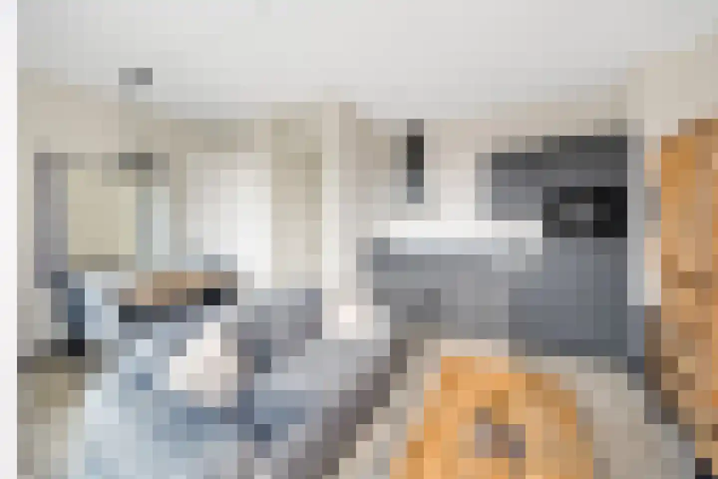 Laantje van Kempen 13 Den Haag thumbnail 9
