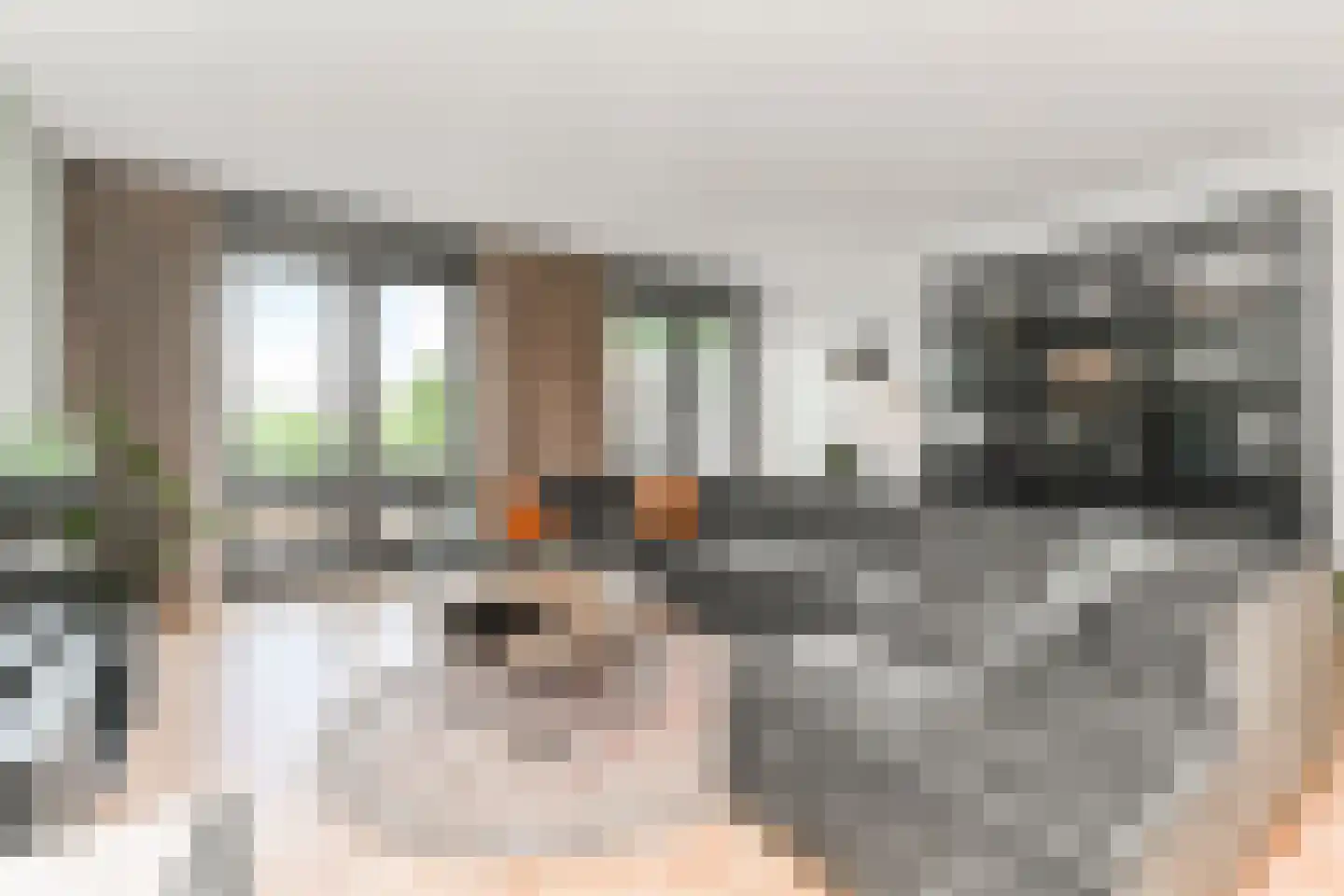 Laantje van Kempen 8 Den Haag thumbnail 10