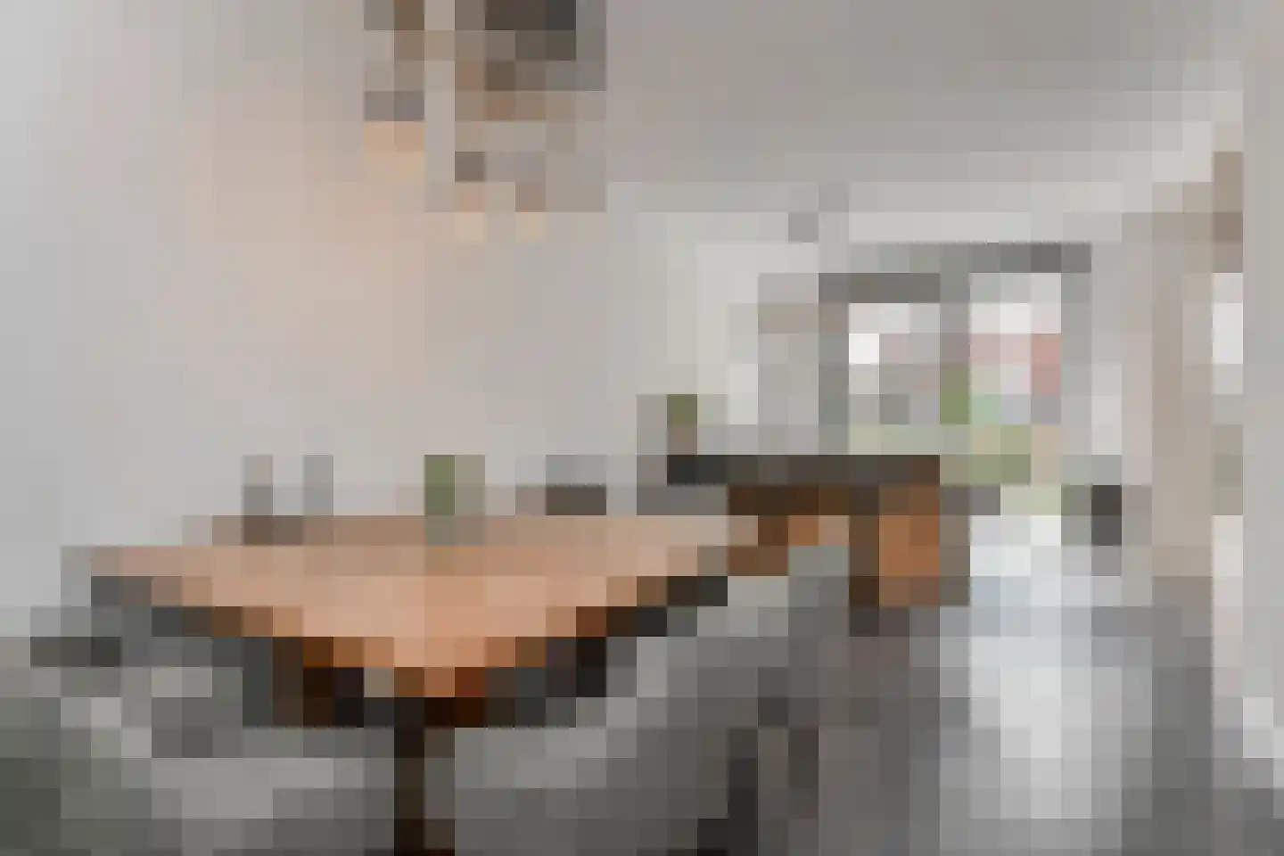 Laantje van Kempen 8 Den Haag thumbnail 11