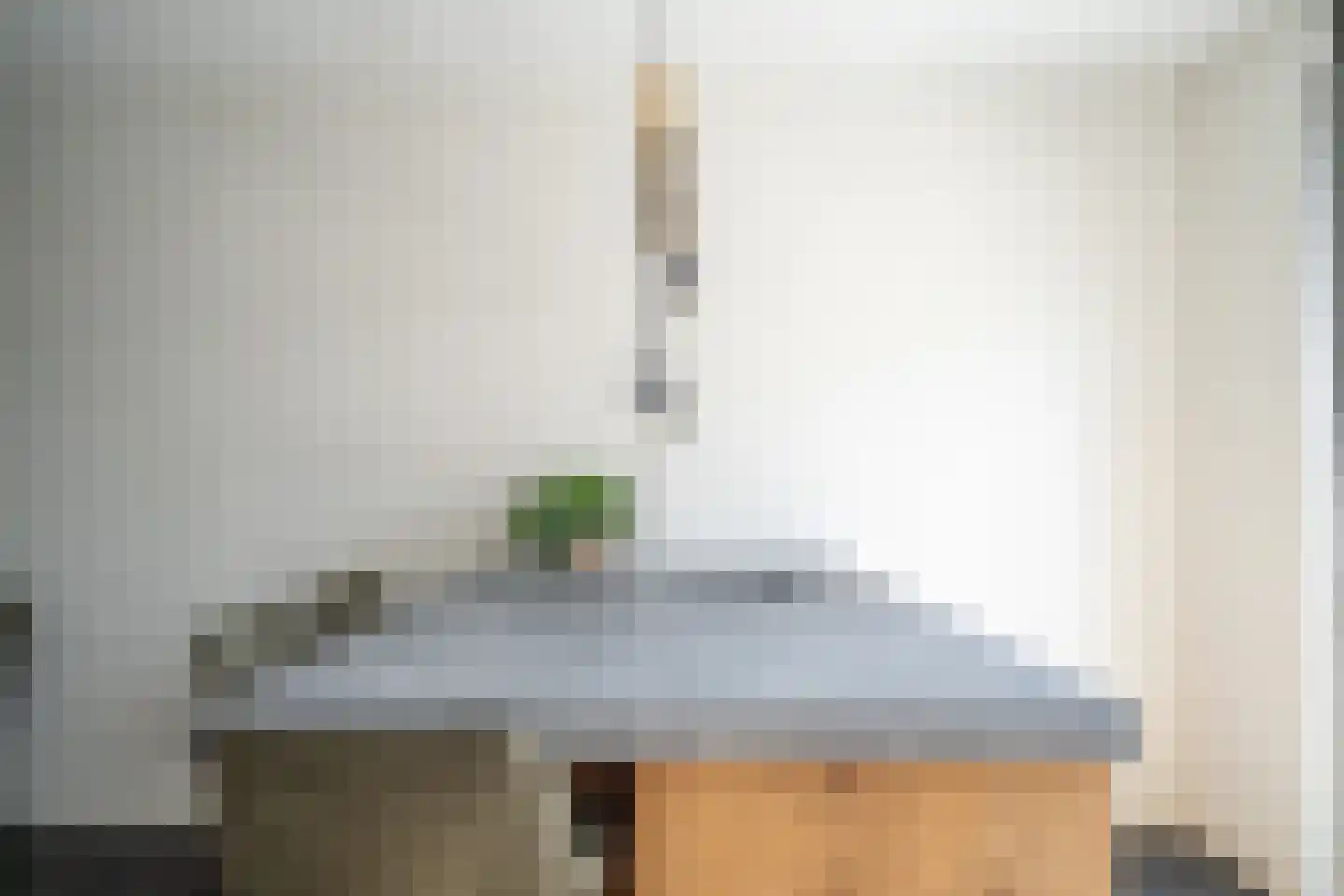 Laantje van Kempen 8 Den Haag thumbnail 13