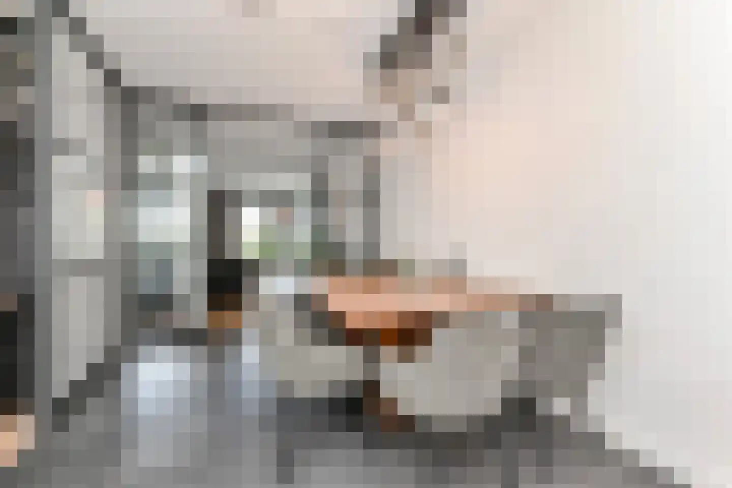 Laantje van Kempen 8 Den Haag thumbnail 14