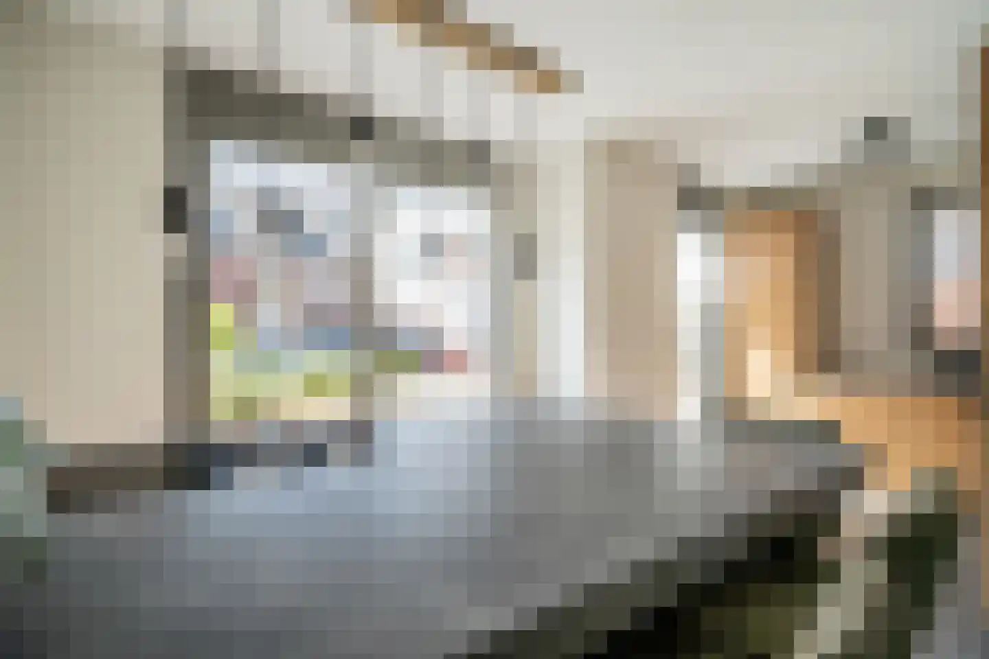 Laantje van Kempen 8 Den Haag thumbnail 14