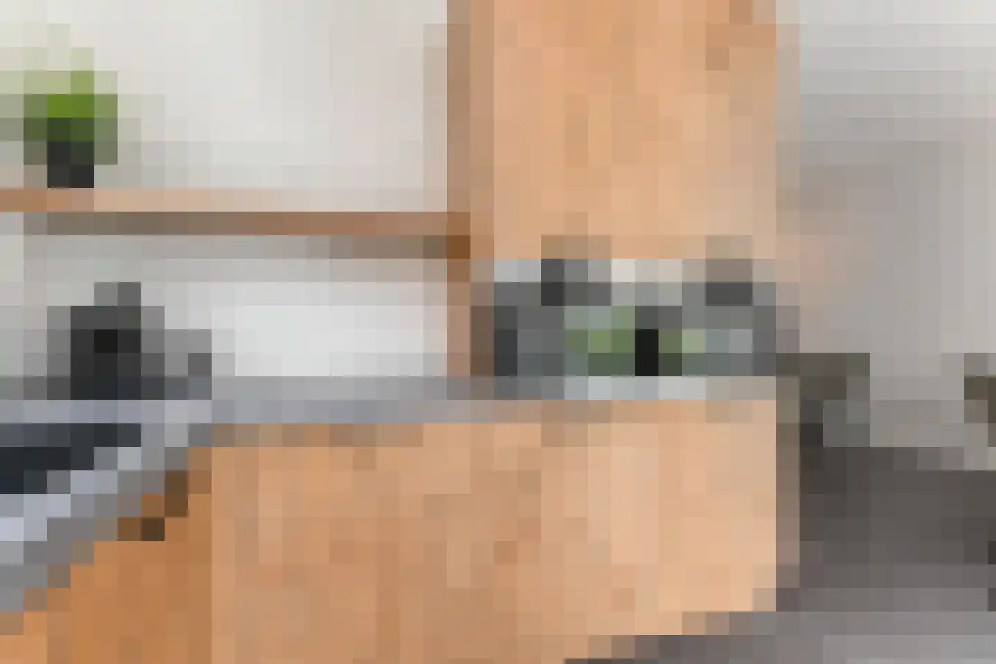 Laantje van Kempen 8 Den Haag thumbnail 16