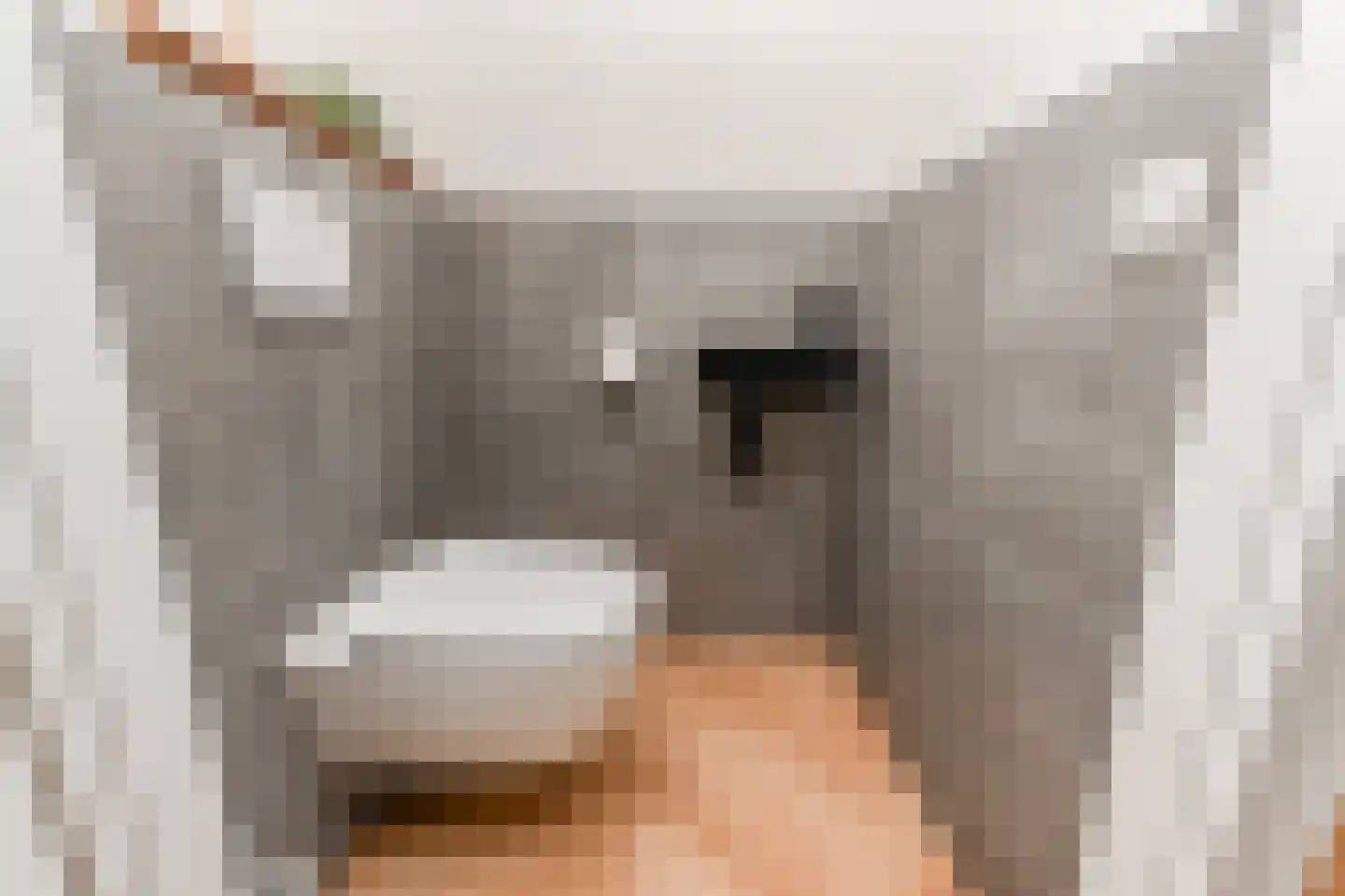 Laantje van Kempen 8 Den Haag thumbnail 17