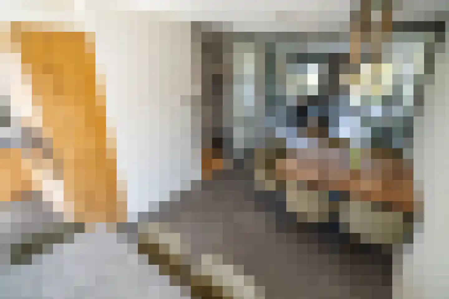 Laantje van Kempen 8 Den Haag thumbnail 17
