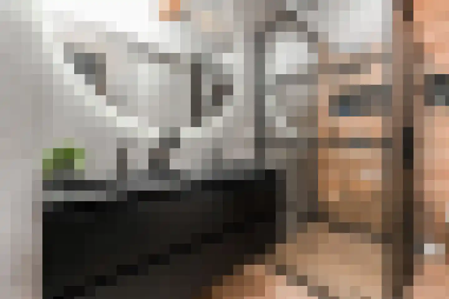 Laantje van Kempen 8 Den Haag thumbnail 29
