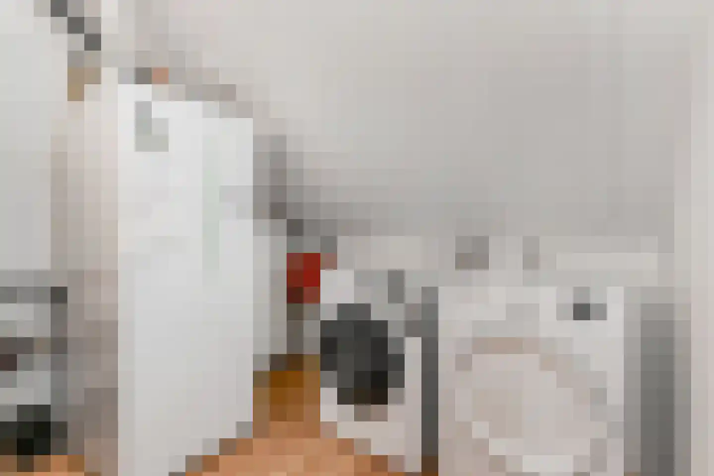 Laantje van Kempen 8 Den Haag thumbnail 31