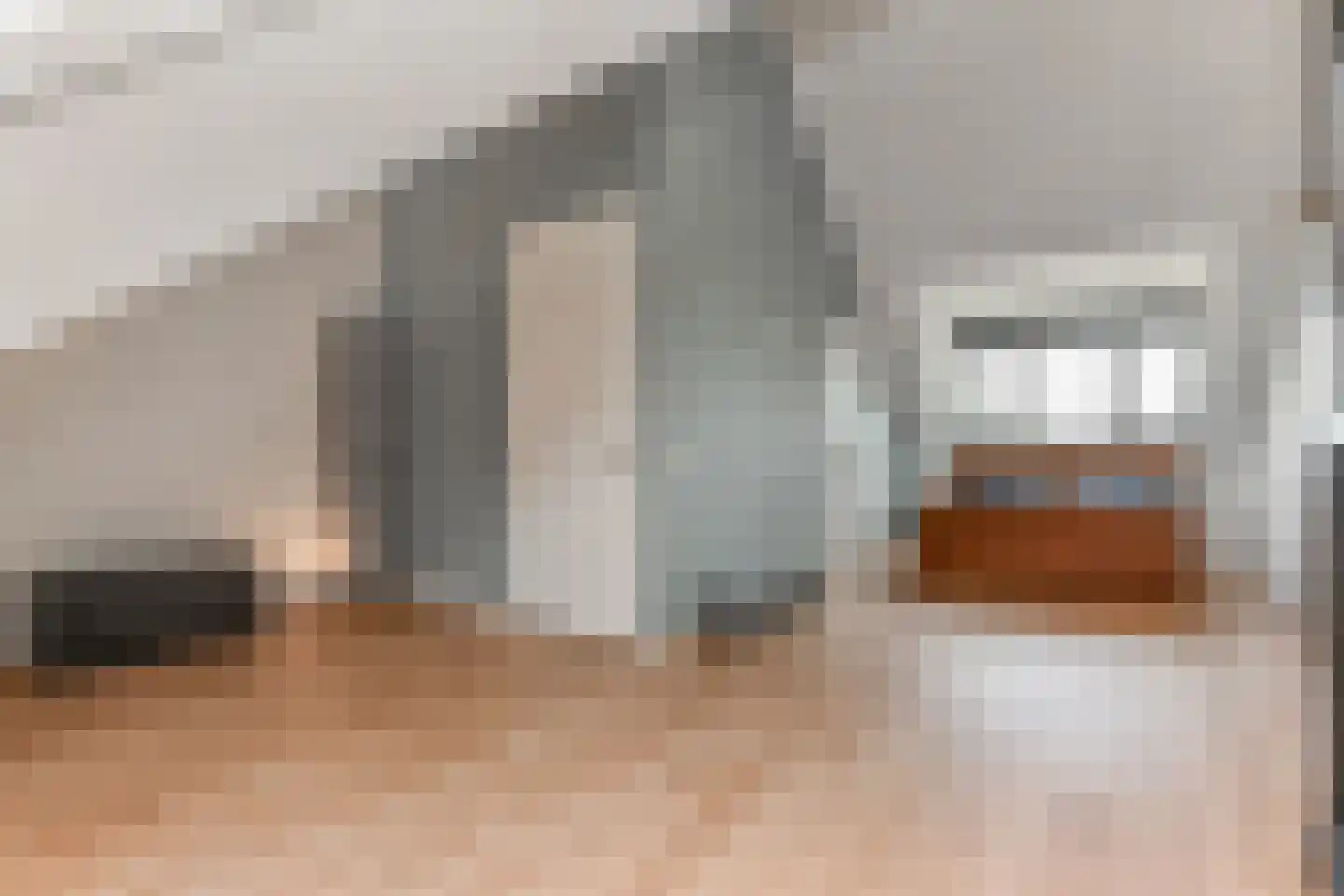 Laantje van Kempen 8 Den Haag thumbnail 32