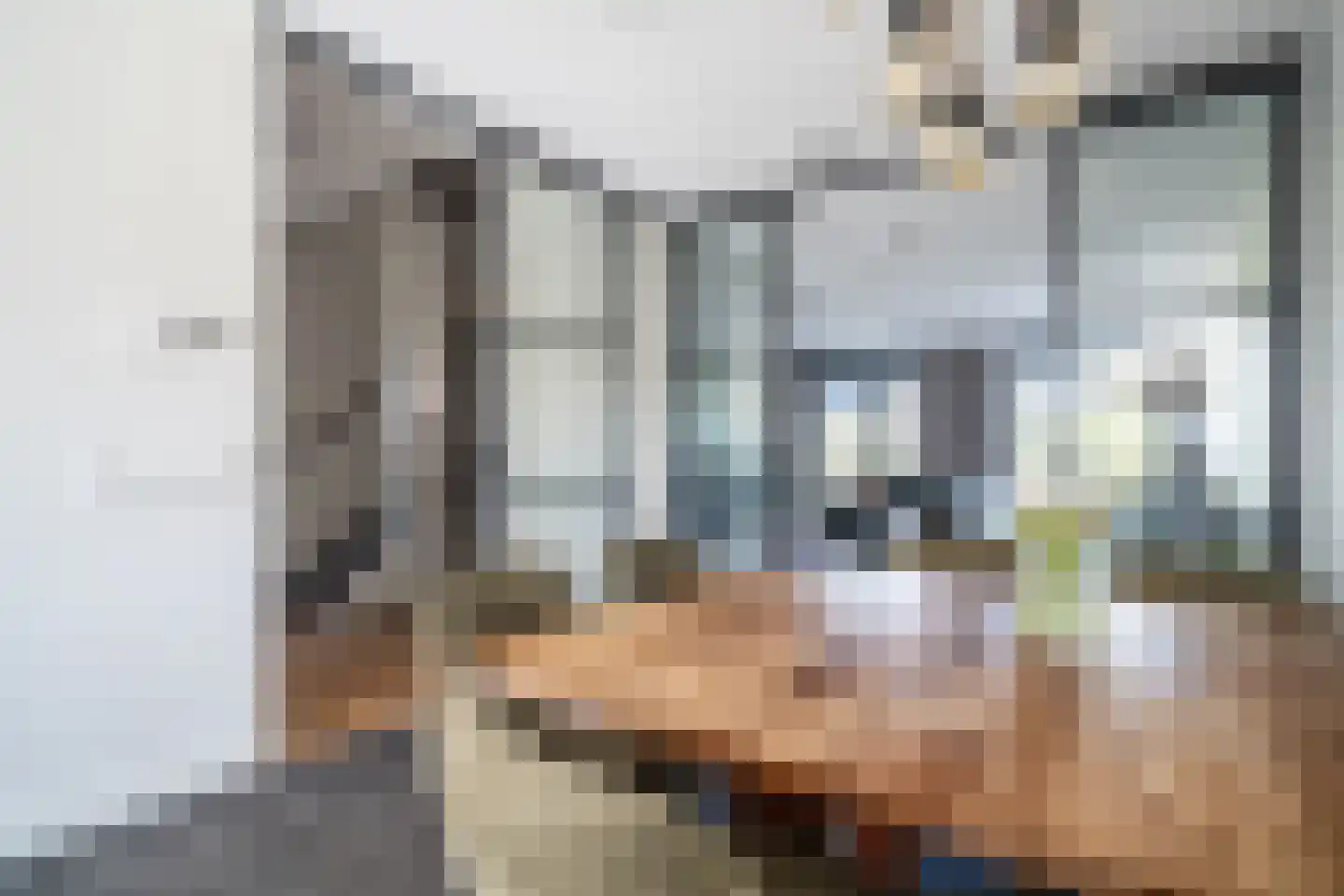 Laantje van Kempen 8 Den Haag thumbnail 4