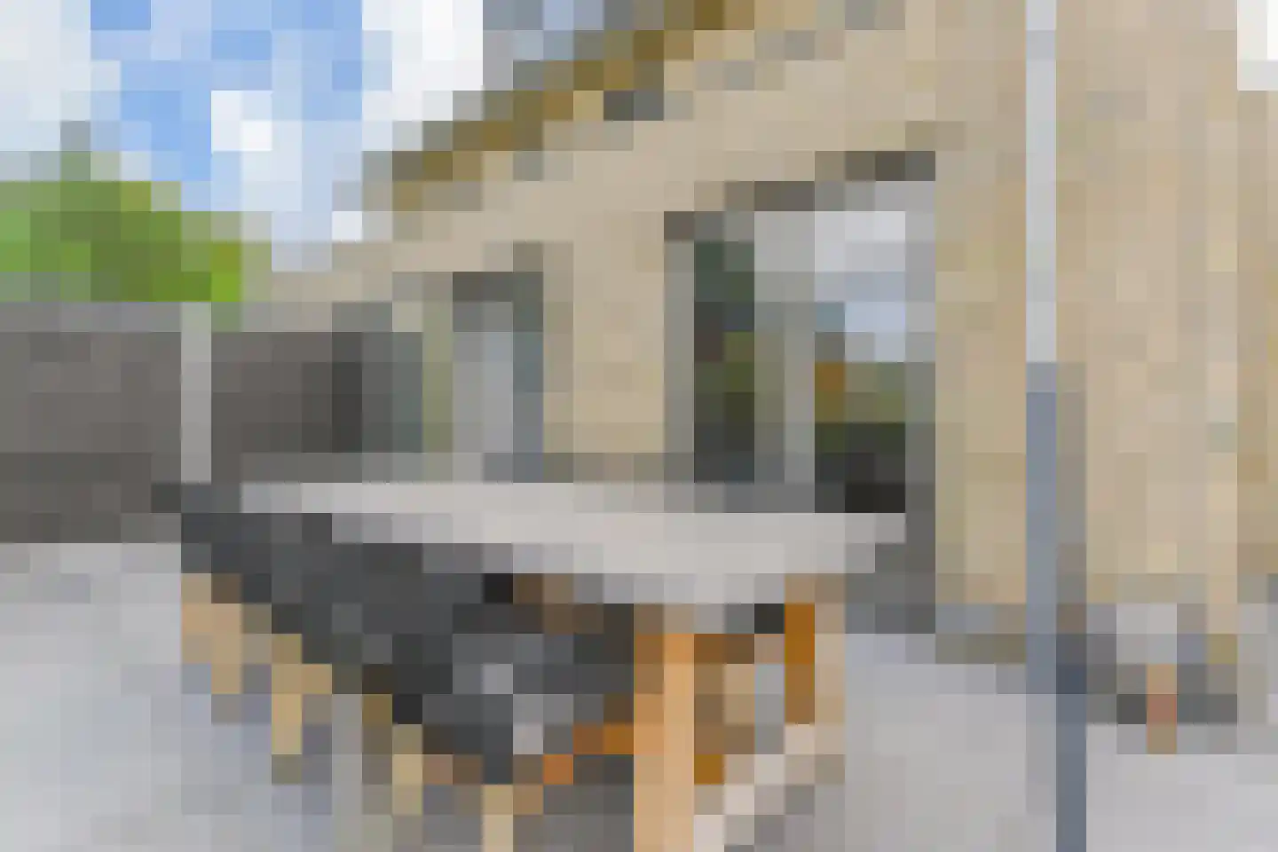 Laantje van Kempen 8 Den Haag thumbnail 42