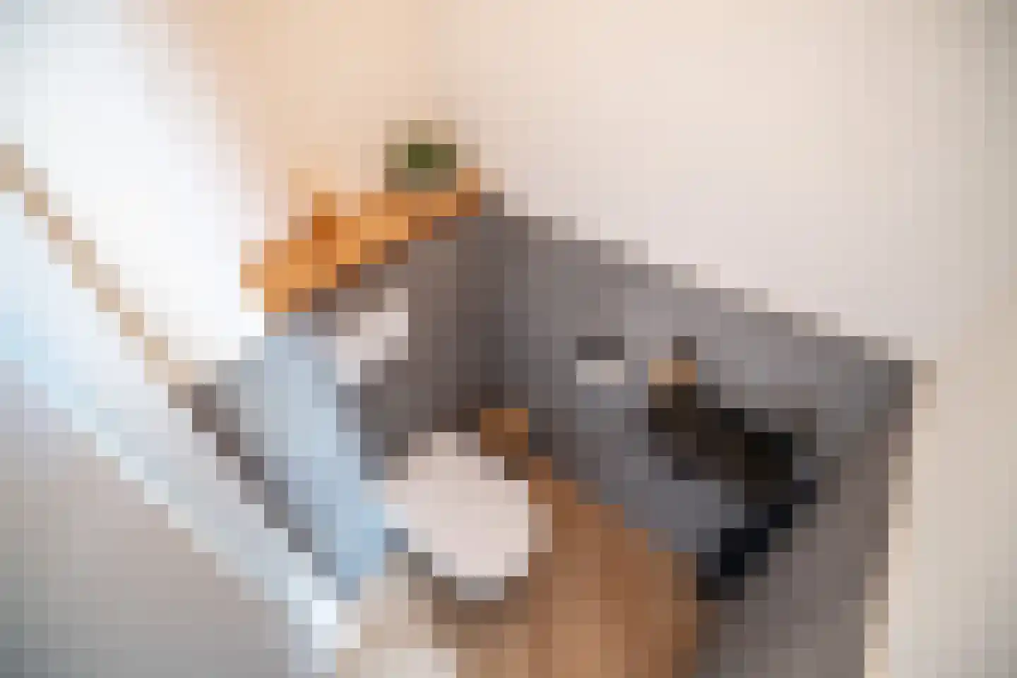Laantje van Kempen 8 Den Haag thumbnail 43