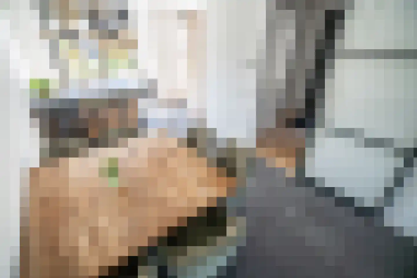 Laantje van Kempen 8 Den Haag thumbnail 5