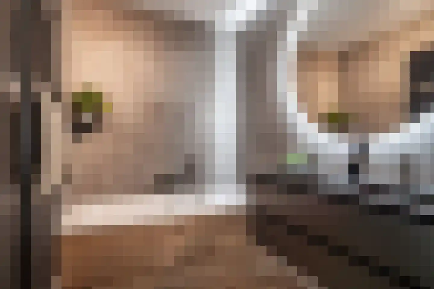 Laantje van Kempen 8 Den Haag thumbnail 52