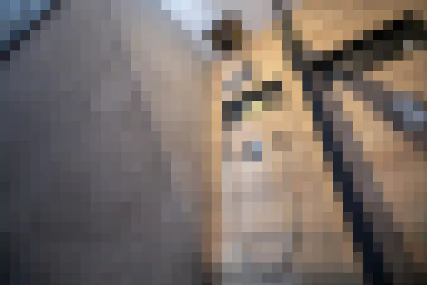 Laantje van Kempen 8 Den Haag thumbnail 54