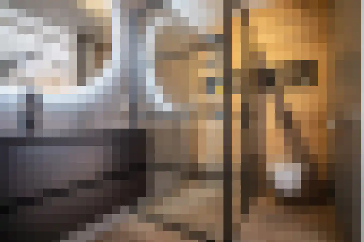 Laantje van Kempen 8 Den Haag thumbnail 55