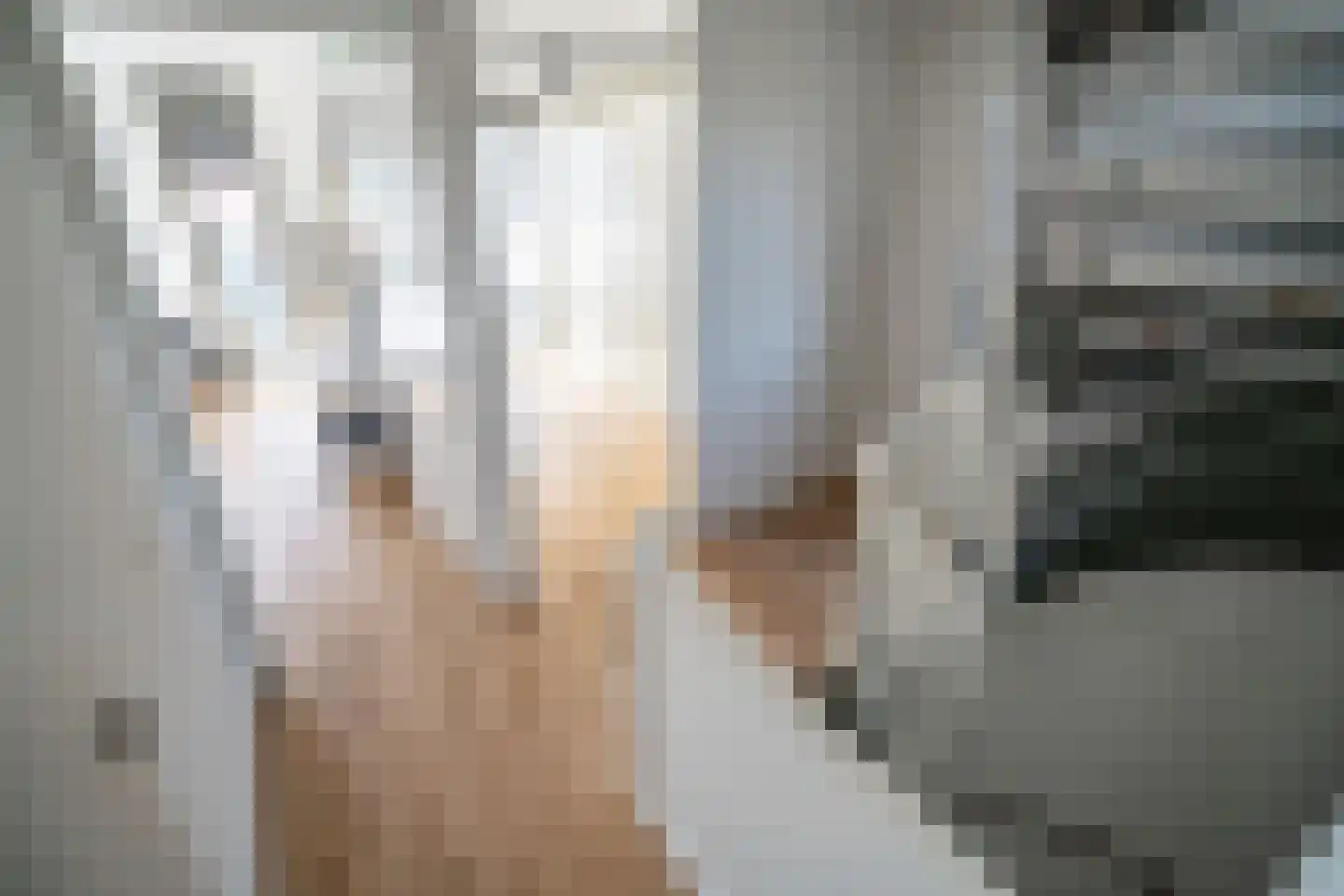 Laantje van Kempen 8 Den Haag thumbnail 56