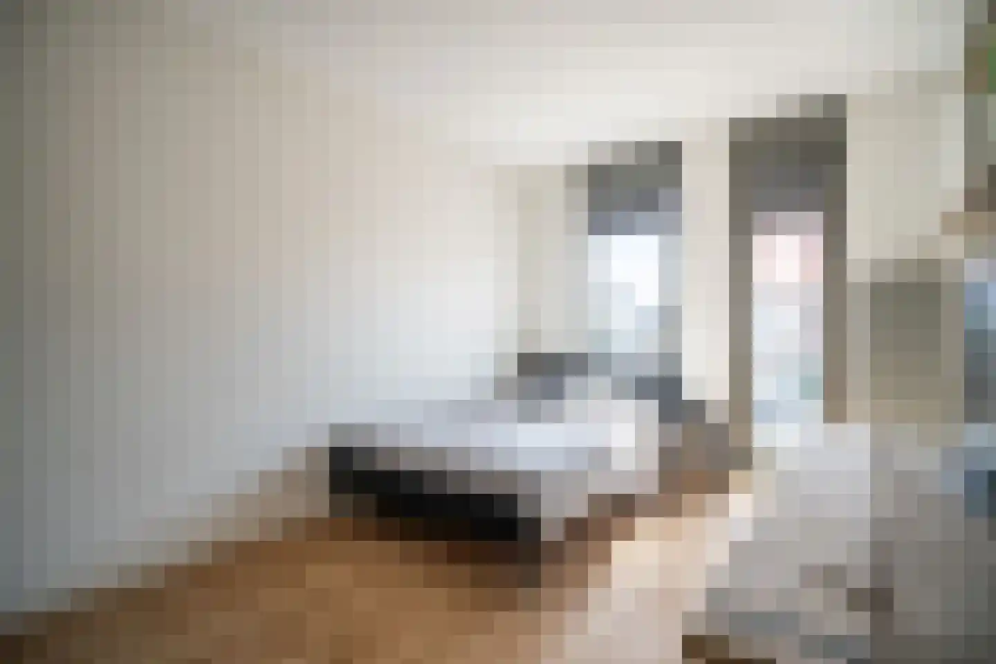 Laantje van Kempen 8 Den Haag thumbnail 57