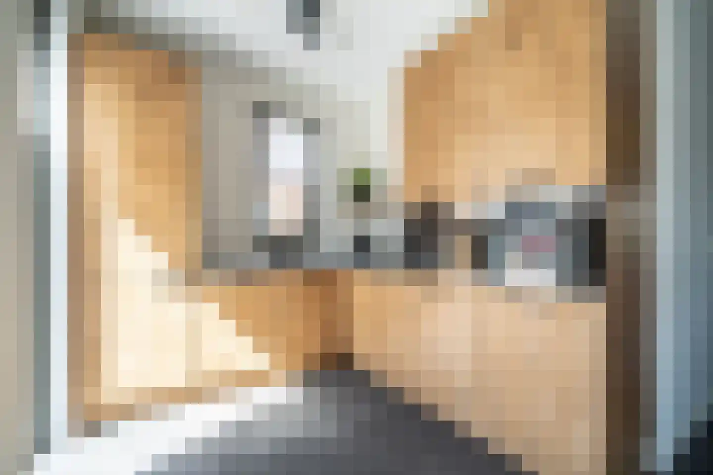 Laantje van Kempen 8 Den Haag thumbnail 6